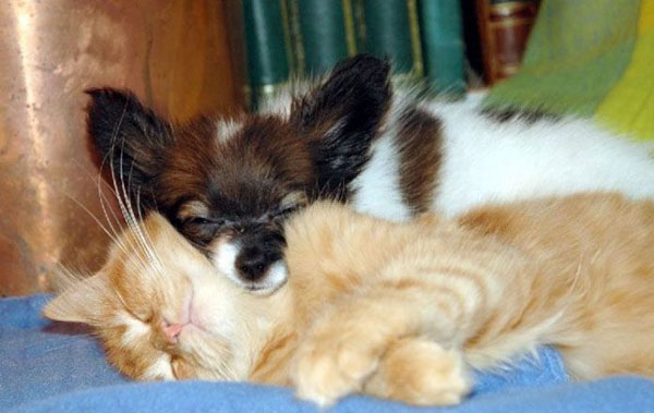 Забавные и прикольные фотографии из сети 