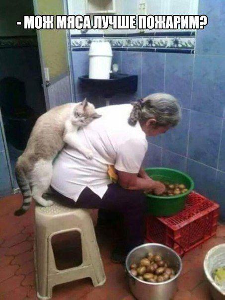 Свежайшие шутки и анекдоты, благодаря которым вы забудете о скуке Свежайшие шутки и анекдоты, благодаря которым вы забудете о скуке