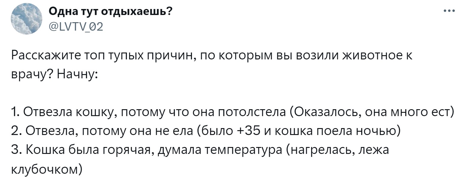 «Новообразование оказалось пупком»: 15 забавных причин, зачем питомцев возили к ветеринару правда, нужно, чтобы, кошки, совершенно, случае, возили, животных, животное, может, можно, своих, просто, узнать, ветеринару, внимание, Другое, Иногда, хозяин, начнёт