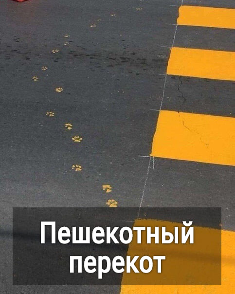 Юмор из интернета 610 Юмор из интернета 610 позитив,смех,улыбки,юмор