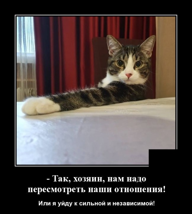 Подборка зачетных и забавных демотиваторов из сети для позитива Подборка зачетных и забавных демотиваторов из сети для позитива демотиваторы свежие,приколы,смешные демотиваторы,юмор