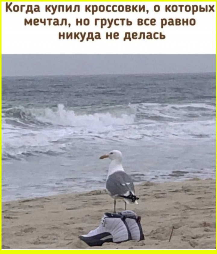 Юмор на сон грядущий в пятницу 