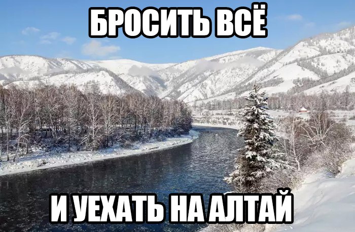 Веселые картинки с надписями для поднятия настроения (11 фото)