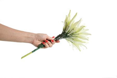 Букет Ромашка