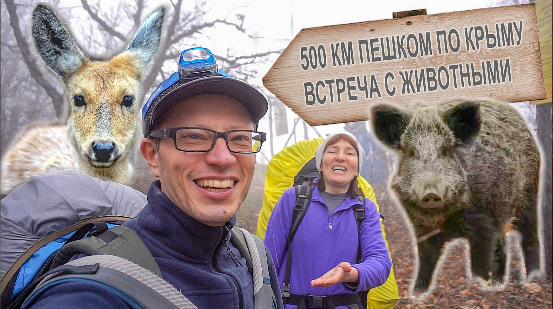 500 км. пешком по Крыму. #4. Встреча с кабаном и косулей. Гора Кокия-Кая и мыс Айя. Санаторий Форос.