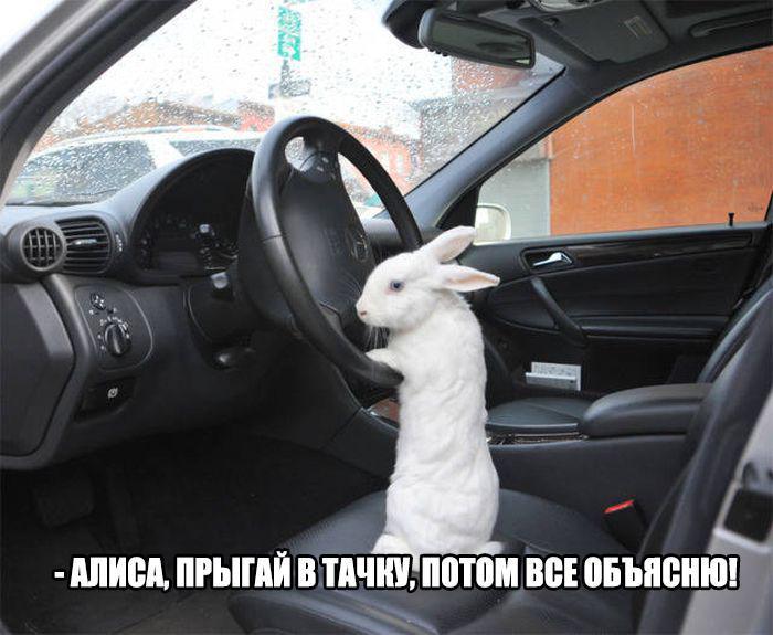 Позитивные картинки с надписями до слез 