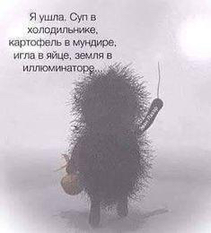 Тараканов в моей голове сожрала белочка Тараканов в моей голове сожрала белочка анекдоты,веселые картинки,демотиваторы,юмор