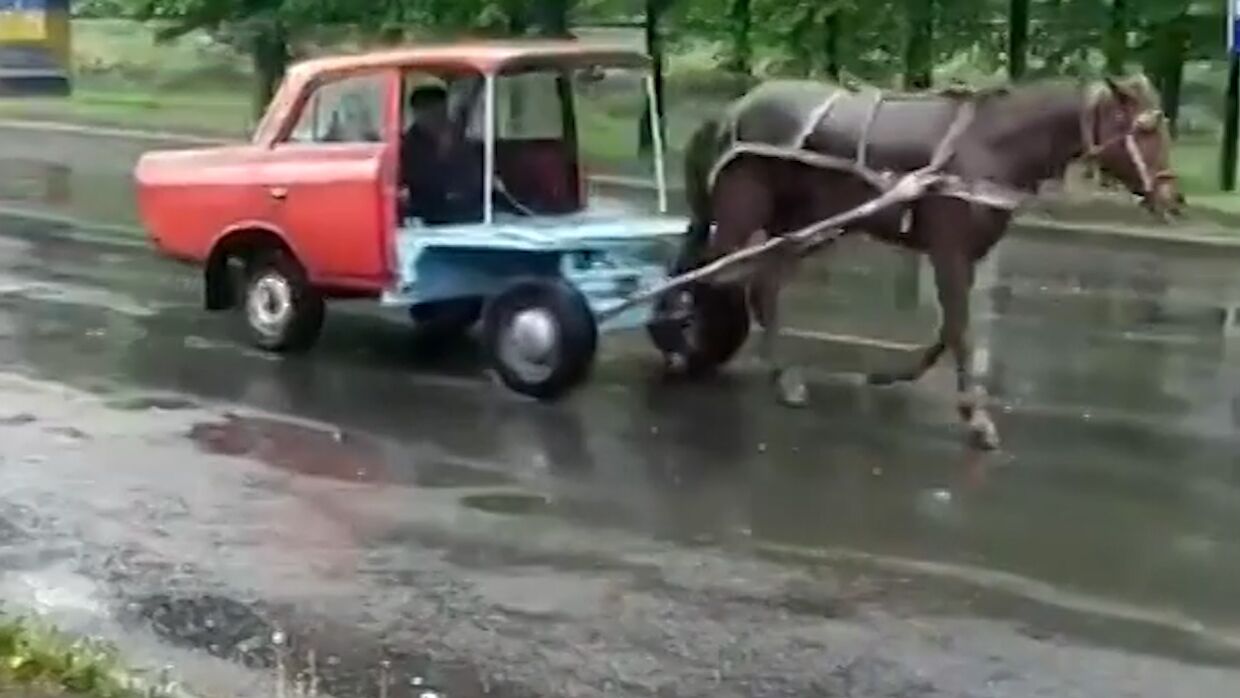 Симбиоз лошади и «Москвича» ездит по дорогам Украины. ФАН-ТВ