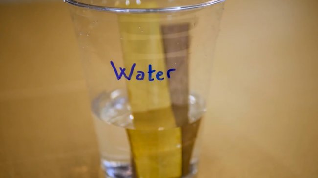 Влияние различных жидкостей на древесину Влияние различных жидкостей на древесину советы