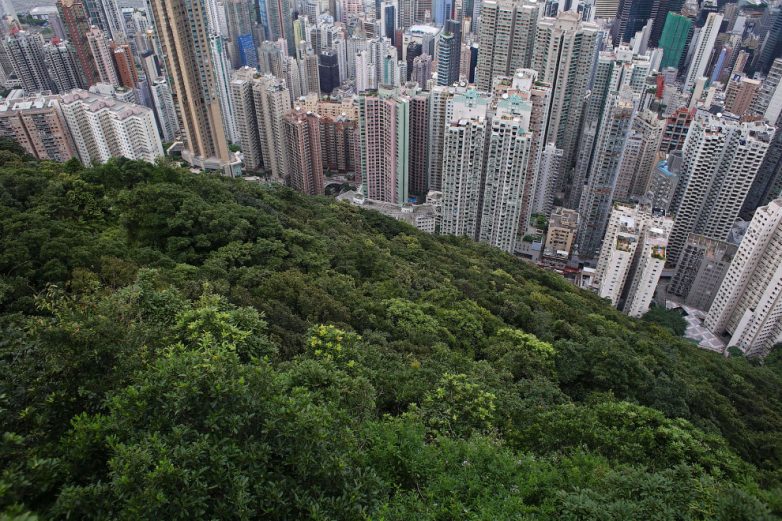 Урбанистические пейзажи Гонконга Гонконг,мир,пейзажи,турист