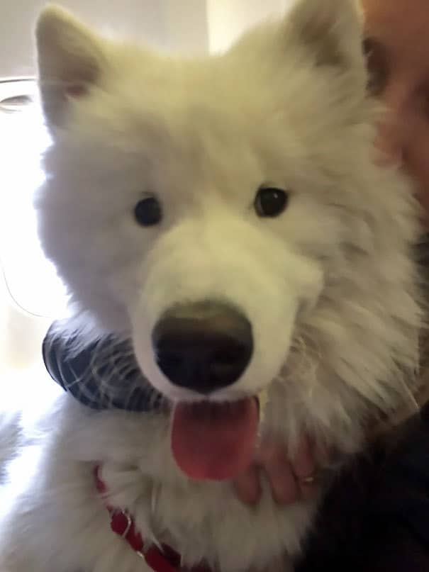 Guy Sitting Next To Me On A Recent Southwest Flight