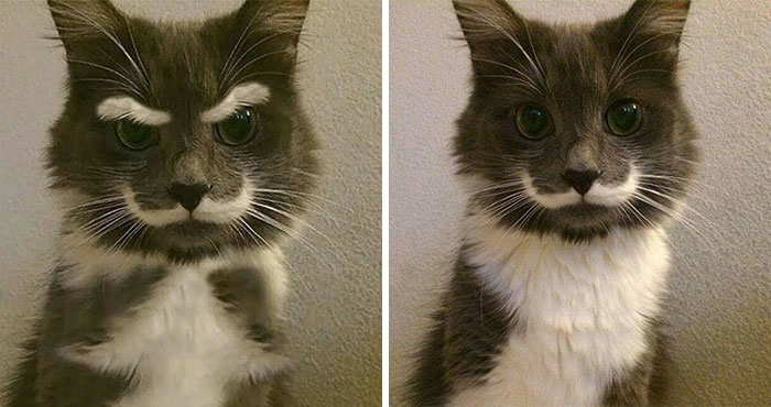  The Mustache Wasn't Enough, They Had To Add Those Angry Eyebrows