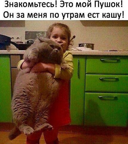 Сборная юмора для позитивного дня Сборная юмора для позитивного дня