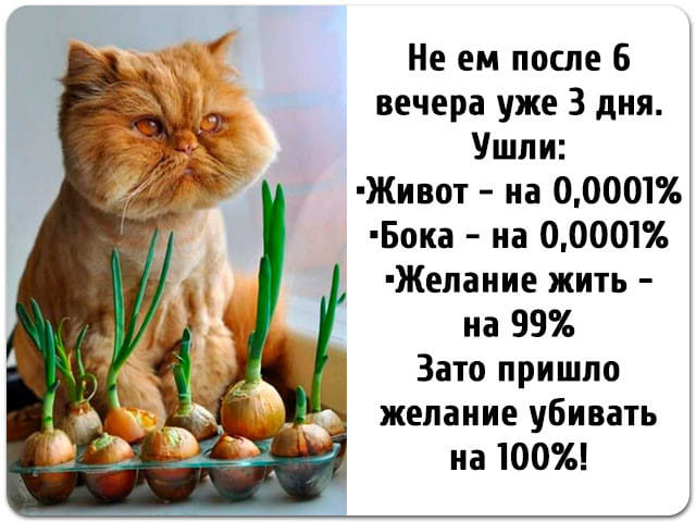 Молодой пират подходит к капитану Флинту и говорит:  - Капитан, мне подбросили голубую метку... радио, чтобы, будет, Может, девушка, означает, отвечает, теперь, холостяк, порядок, могла, скоро, убьют, голубая, ничего, хорошего, ответил, ФлинтДевушка, никак, почему