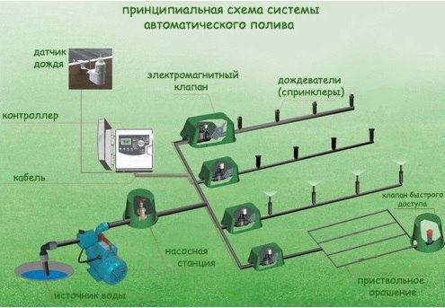 Стоит ли использовать систему автополива на даче советы