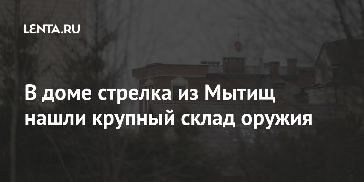 В доме стрелка из Мытищ нашли крупный склад оружия Силовые структуры