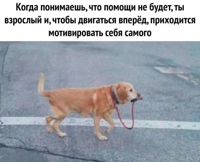 Комментарии, которые добавляют острый соус в ленту постов Комментарии, которые добавляют острый соус в ленту постов