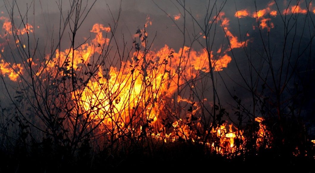 СК возбудил дело о халатности из-за мощного лесного пожара в Ростовской области