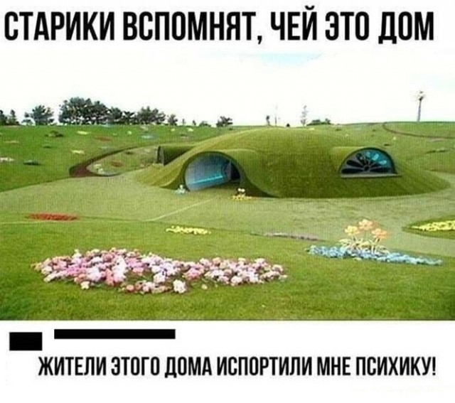 Лучшие шуточки и веселые картинки для позитивного дня Лучшие шуточки и веселые картинки для позитивного дня