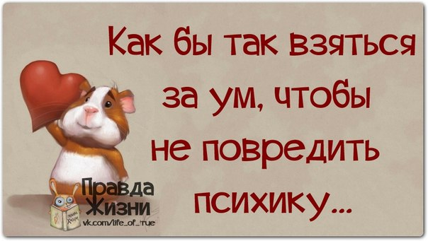 Субботний, утренний позитив дорогие друзья. веселые картинки