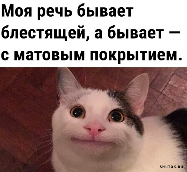 Утренний юмор Утренний юмор