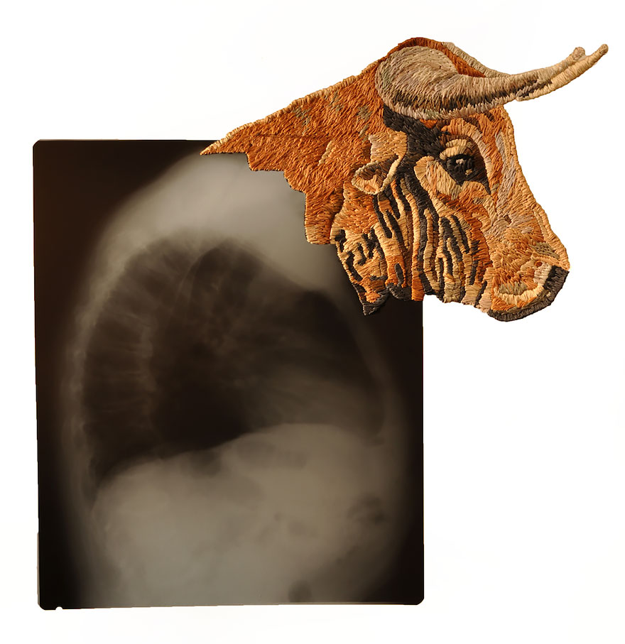 удивительная современная вышивка 