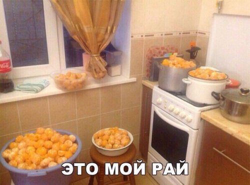 Свежие прикольные фотомемы
