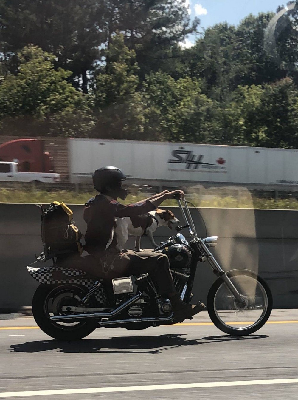 Подборка интересных и веселых картинок со всего света 