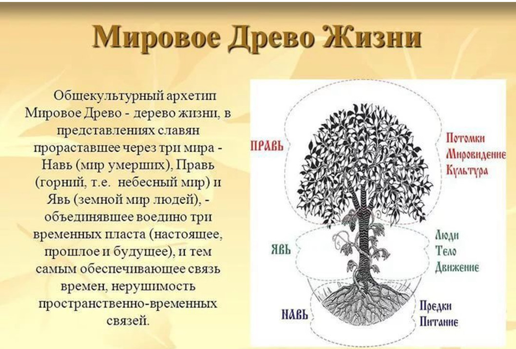 Имена обозначающие дерево. Строение мирового древа. Мировое дерево. Мировое Древо символ. Древо жизни.