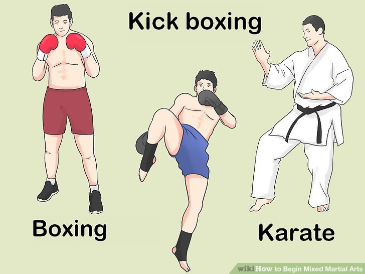 Image titled Begin Mixed Martial Arts Step 1