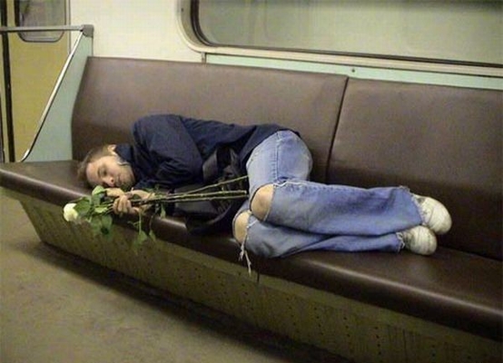 Милейший пост о самых сладких снах Милейший пост о самых сладких снах животные,Истории из жизни,позитив,Смешные животные