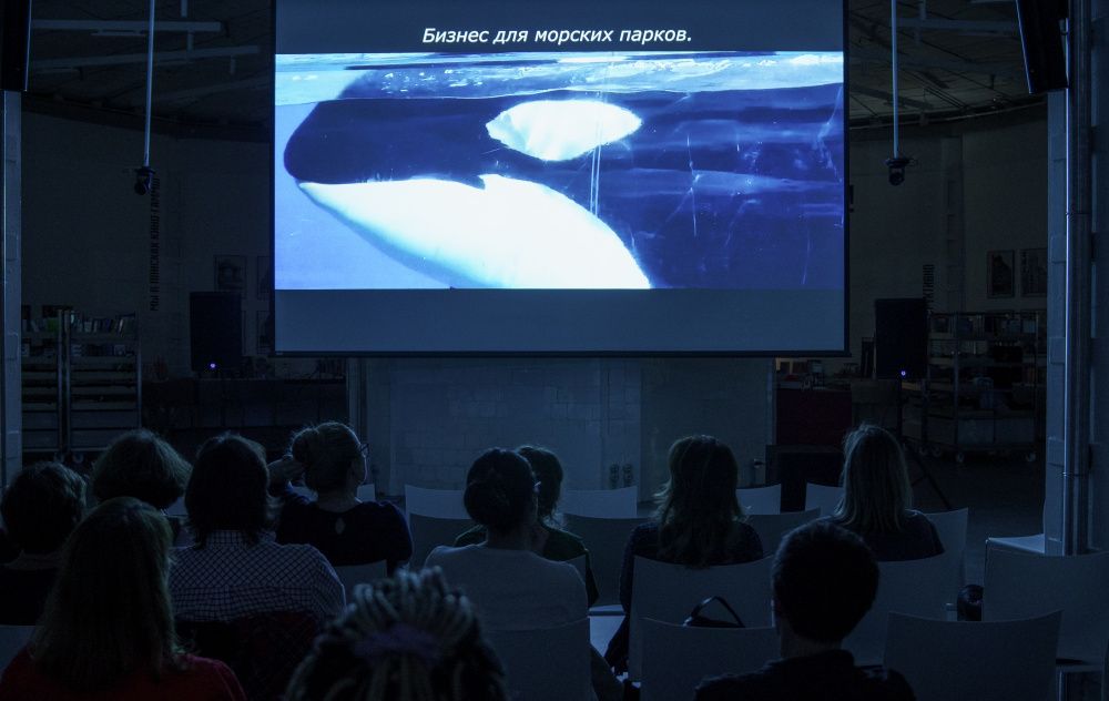 В России в десятый раз стартовали Дни научного кино