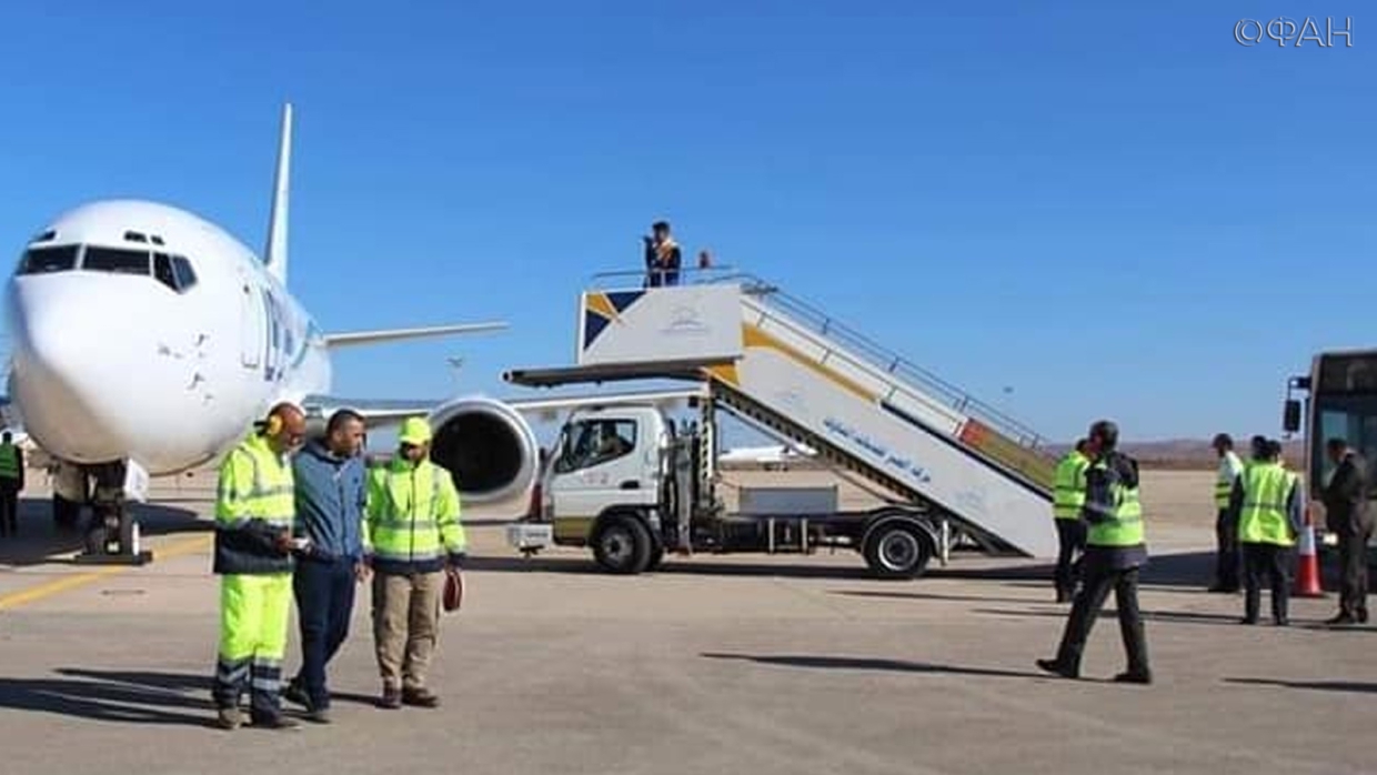 В Японии из-за черепахи задерживают авиарейсы