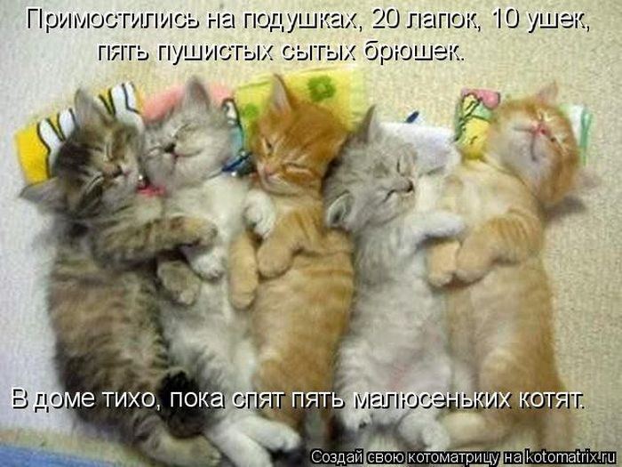Мысли вслух :)