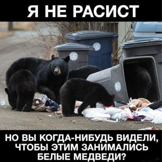 Юмор для тех, кто уже повзрослел и понял, что «приоритеты» - это сначала налить кофе, а потом спасать мир 