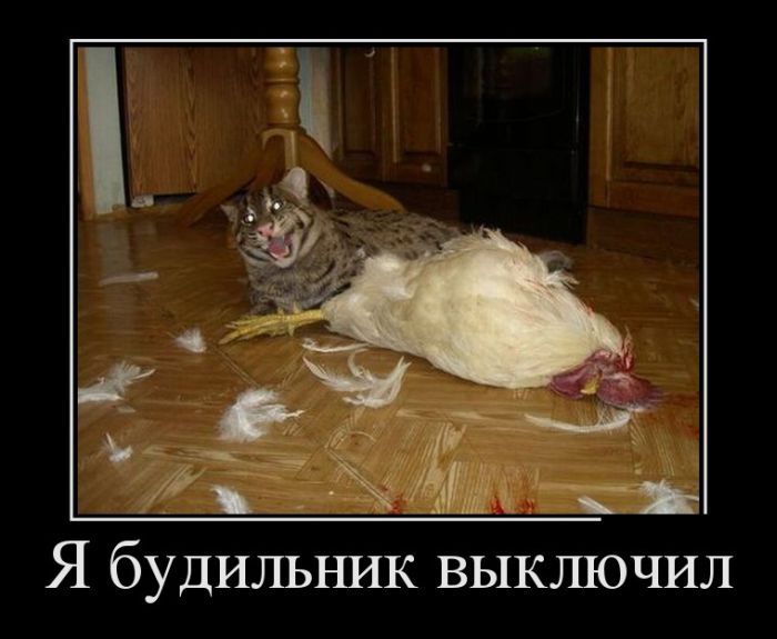 Имея не ценим. Демотиваторы 