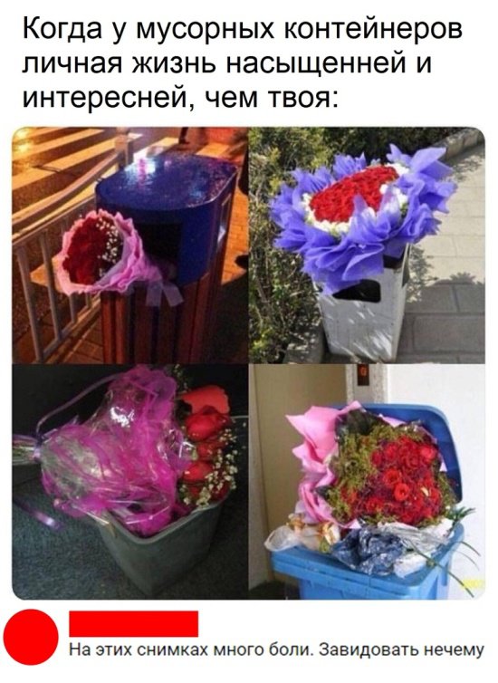 Фотоподборка понедельника  