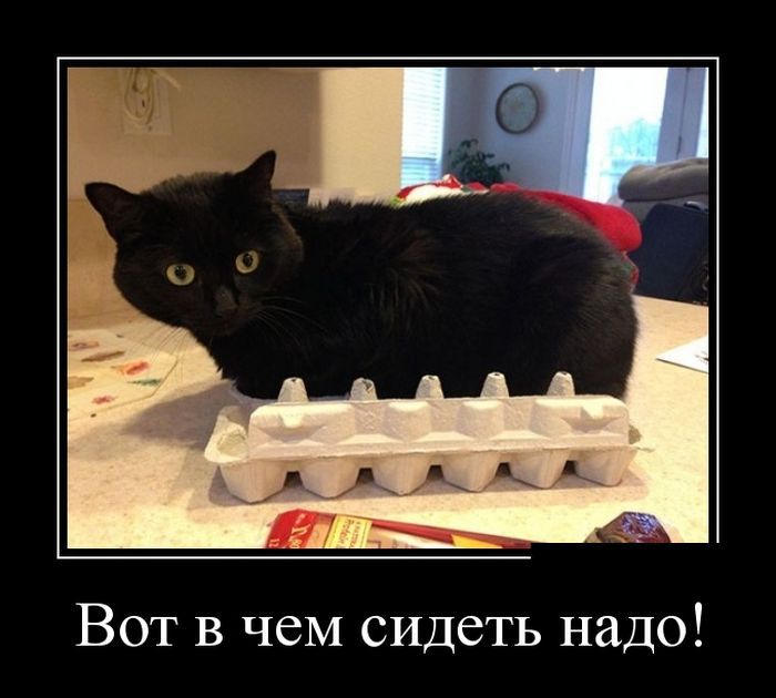 Имея не ценим. Демотиваторы 