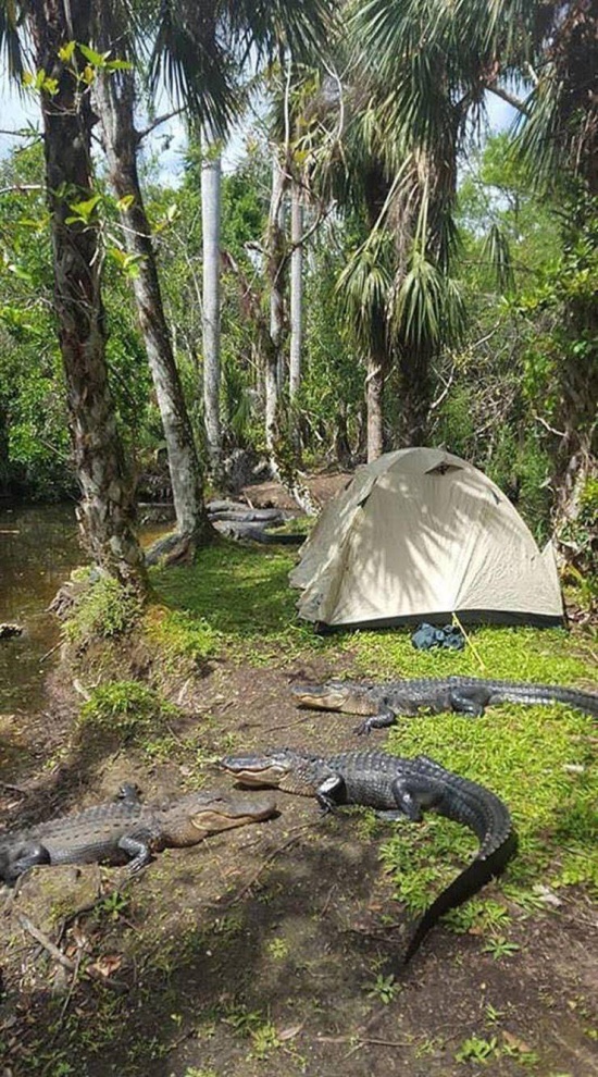 Подборка прикольных картинок  смешные картинки