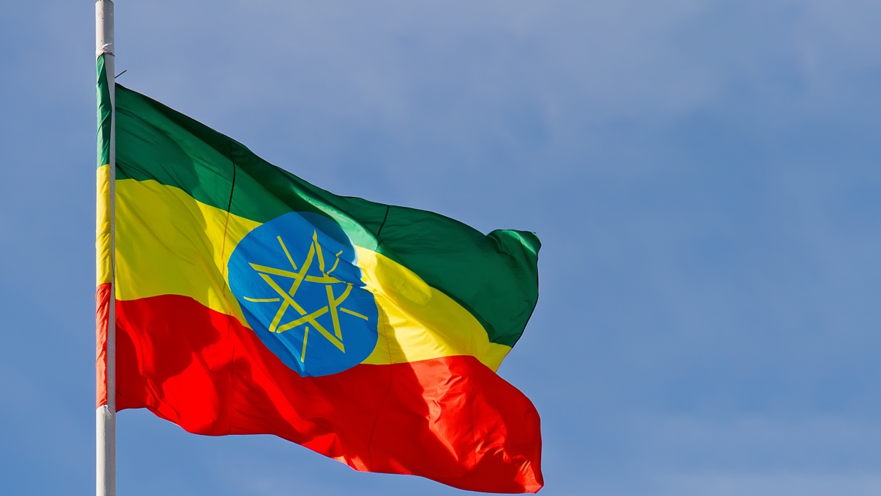 Власти Эфиопии выполнили просьбу администрации Тыграя о прекращении огня tigray,Весь мир