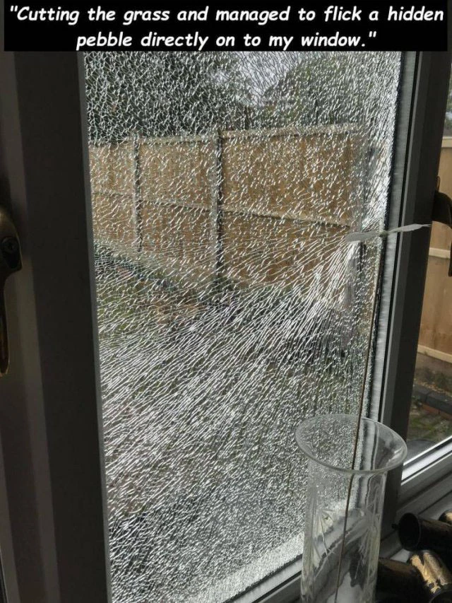 Все пошло не так, как надо: у этих людей определенно худший день Все пошло не так, как надо: у этих людей определенно худший день на злобу дня,юмор