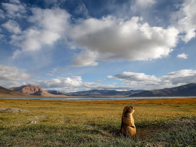 Лучшие фотографии National Geographic за июль 2014