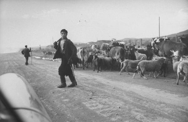 1959 год. Ричард Никсон проехал с визитом по деревням нашей Сибири Дальние дали