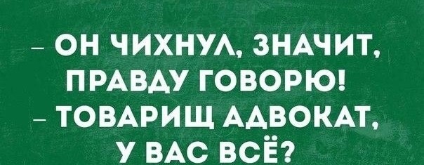 Пятничная подборка прикольных и забавных фотографий с надписями для хорошего настроения картинки с надписями,приколы,прикольные картинки,шикарные фотографии,юмор