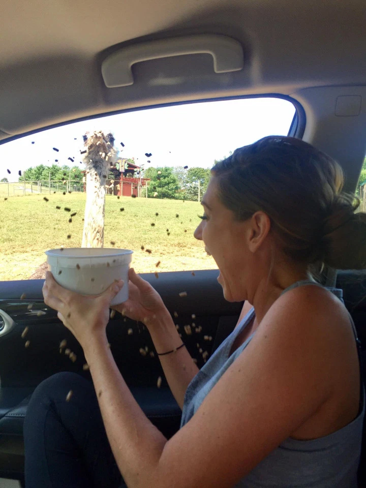 Все пошло не так, как надо: у этих людей определенно худший день Все пошло не так, как надо: у этих людей определенно худший день на злобу дня,юмор