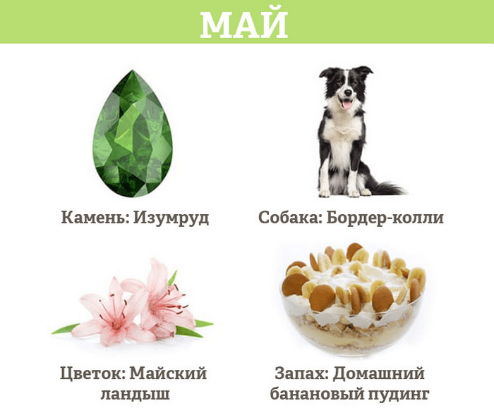 Гороскоп на май
