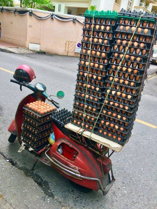 Свежие прикольные картинки Свежие прикольные картинки