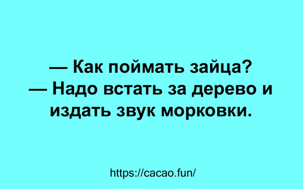 Поднимаем настроение: яркие афоризмы и анекдоты 