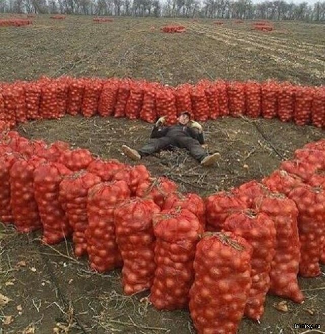 Нежных чувств пост Нежных чувств пост смешные картинки