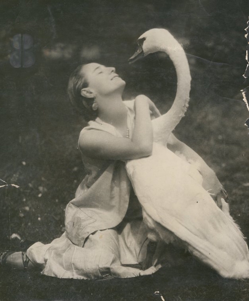 Anna Pavlova и ее лебедь Анна Павлова, балет, ностальгия